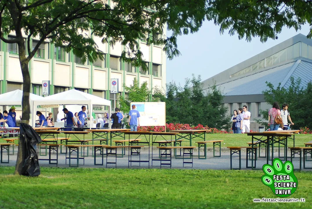 Foto 13